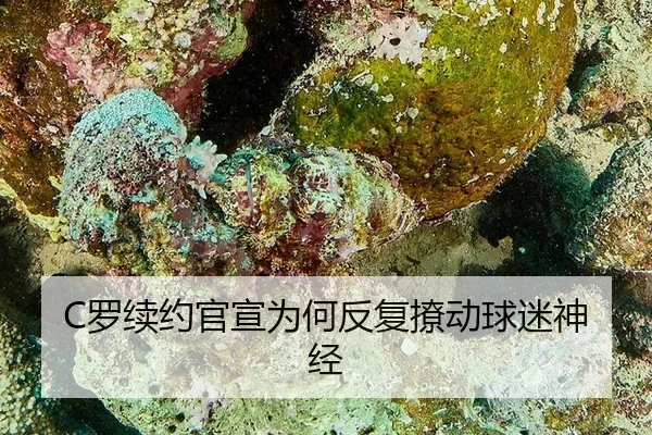 C罗续约官宣为何反复撩动球迷神经